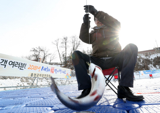 제6회 홍천강 인삼송어축제 개막을 하루 앞둔 4일 오후 강원 홍천군 홍천교 인근 행사장에서 참가자들이 미리 낚시를 즐기고 있다.
